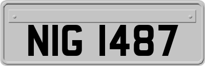 NIG1487
