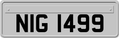 NIG1499