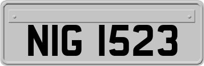 NIG1523