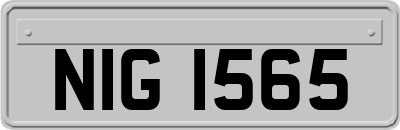 NIG1565