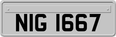 NIG1667