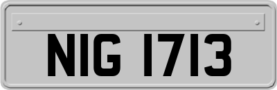 NIG1713