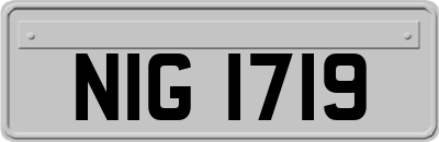 NIG1719