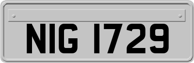 NIG1729