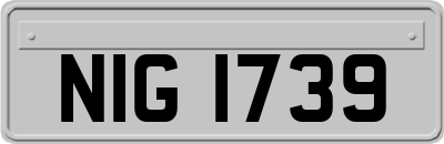NIG1739