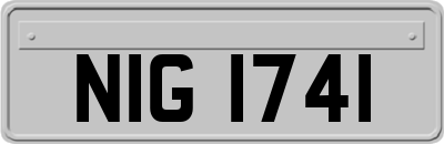 NIG1741