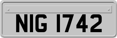 NIG1742