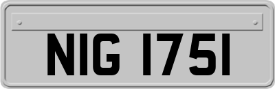 NIG1751