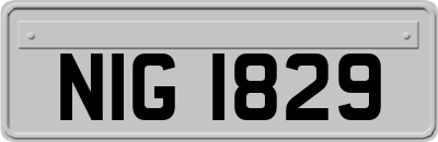 NIG1829