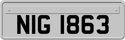 NIG1863