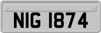 NIG1874