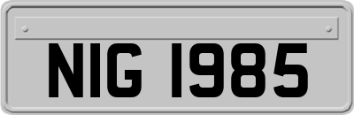 NIG1985