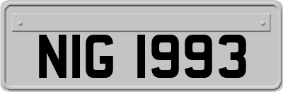 NIG1993