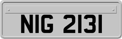 NIG2131