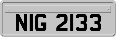 NIG2133