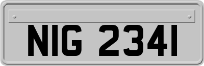 NIG2341