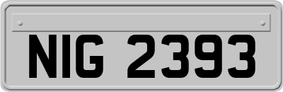 NIG2393