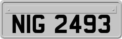 NIG2493