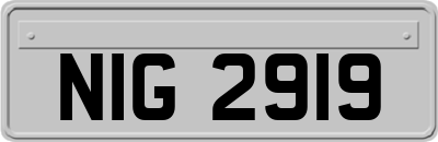NIG2919