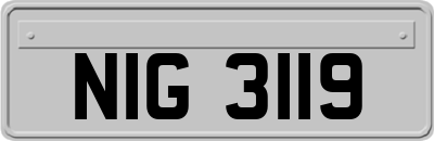 NIG3119