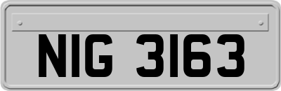 NIG3163