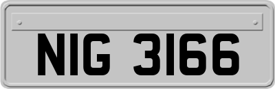 NIG3166