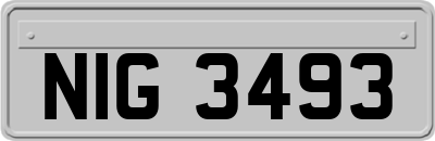 NIG3493