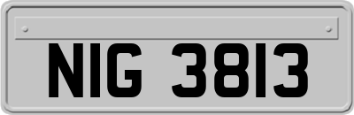 NIG3813
