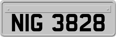 NIG3828