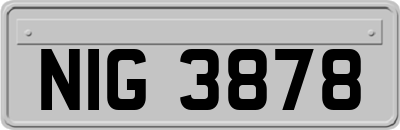 NIG3878