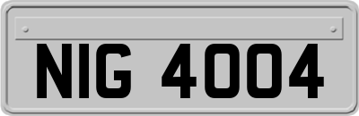 NIG4004