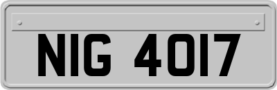 NIG4017