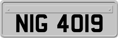 NIG4019