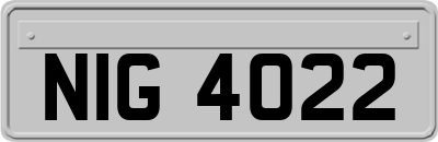 NIG4022