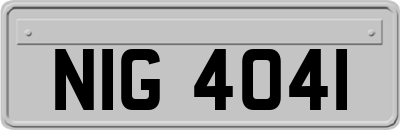 NIG4041