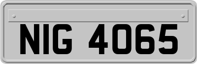 NIG4065