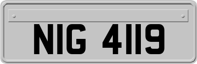 NIG4119