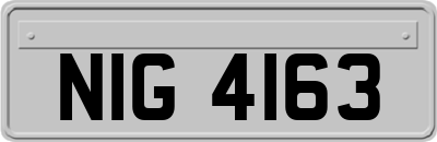 NIG4163