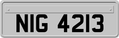 NIG4213