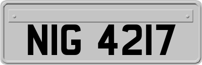 NIG4217