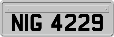 NIG4229