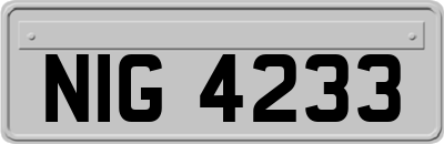 NIG4233