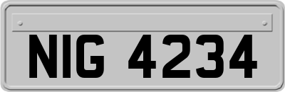 NIG4234
