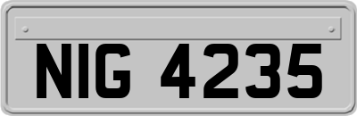 NIG4235