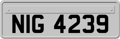 NIG4239