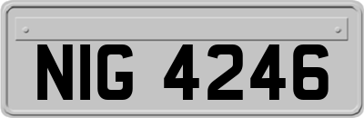 NIG4246