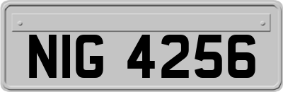 NIG4256