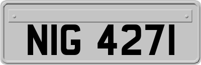 NIG4271