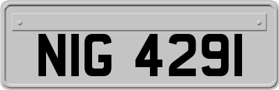 NIG4291