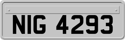 NIG4293